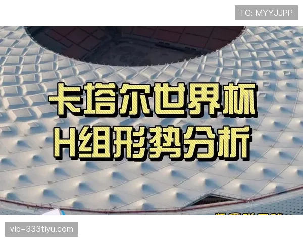 世界杯H组爆冷概率分析
